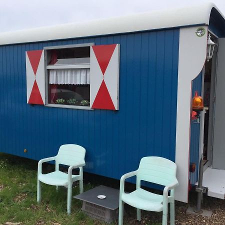 B&B Boerderij Rust, In Pipowagens! 덴헬데르 외부 사진