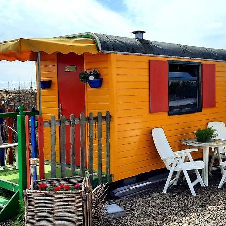 B&B Boerderij Rust, In Pipowagens! 덴헬데르 외부 사진