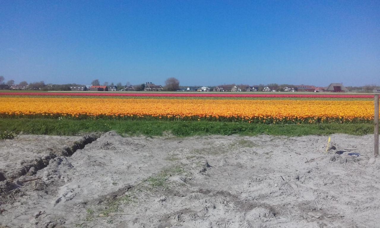 B&B Boerderij Rust, In Pipowagens! 덴헬데르 외부 사진