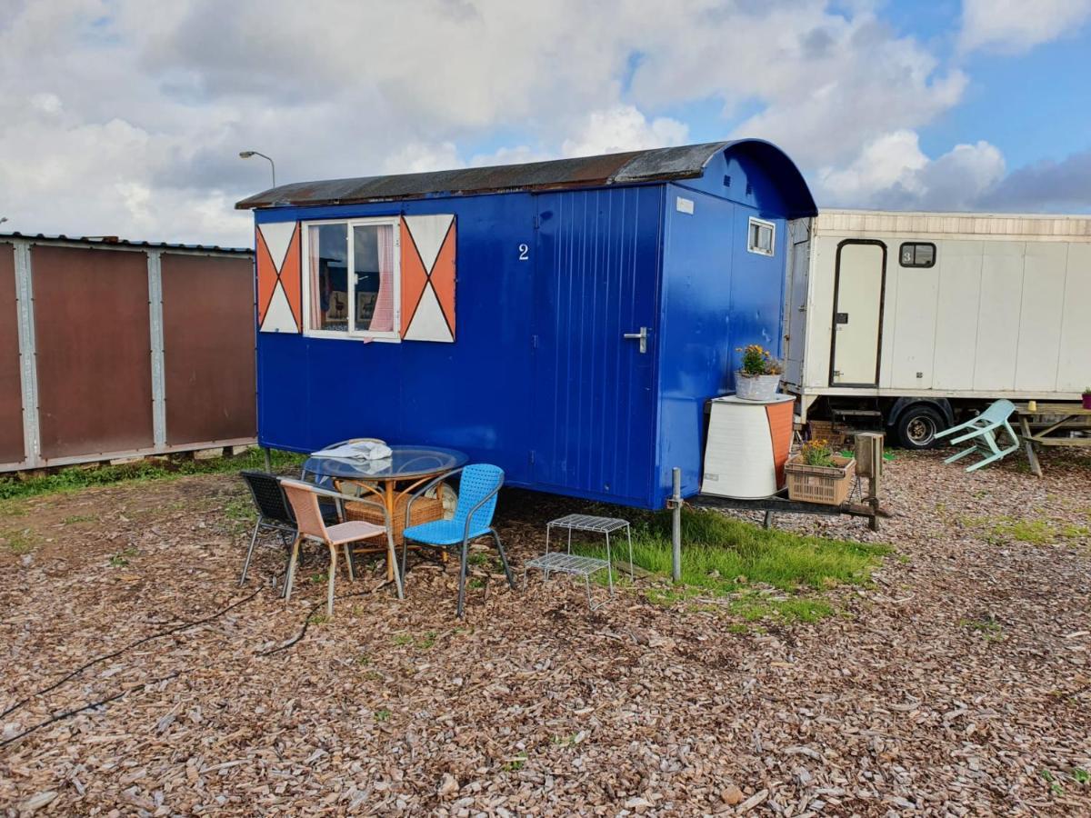 B&B Boerderij Rust, In Pipowagens! 덴헬데르 외부 사진