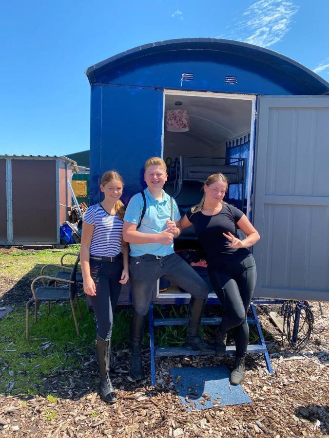 B&B Boerderij Rust, In Pipowagens! 덴헬데르 외부 사진