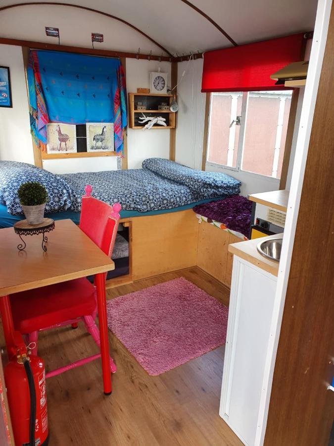 B&B Boerderij Rust, In Pipowagens! 덴헬데르 외부 사진