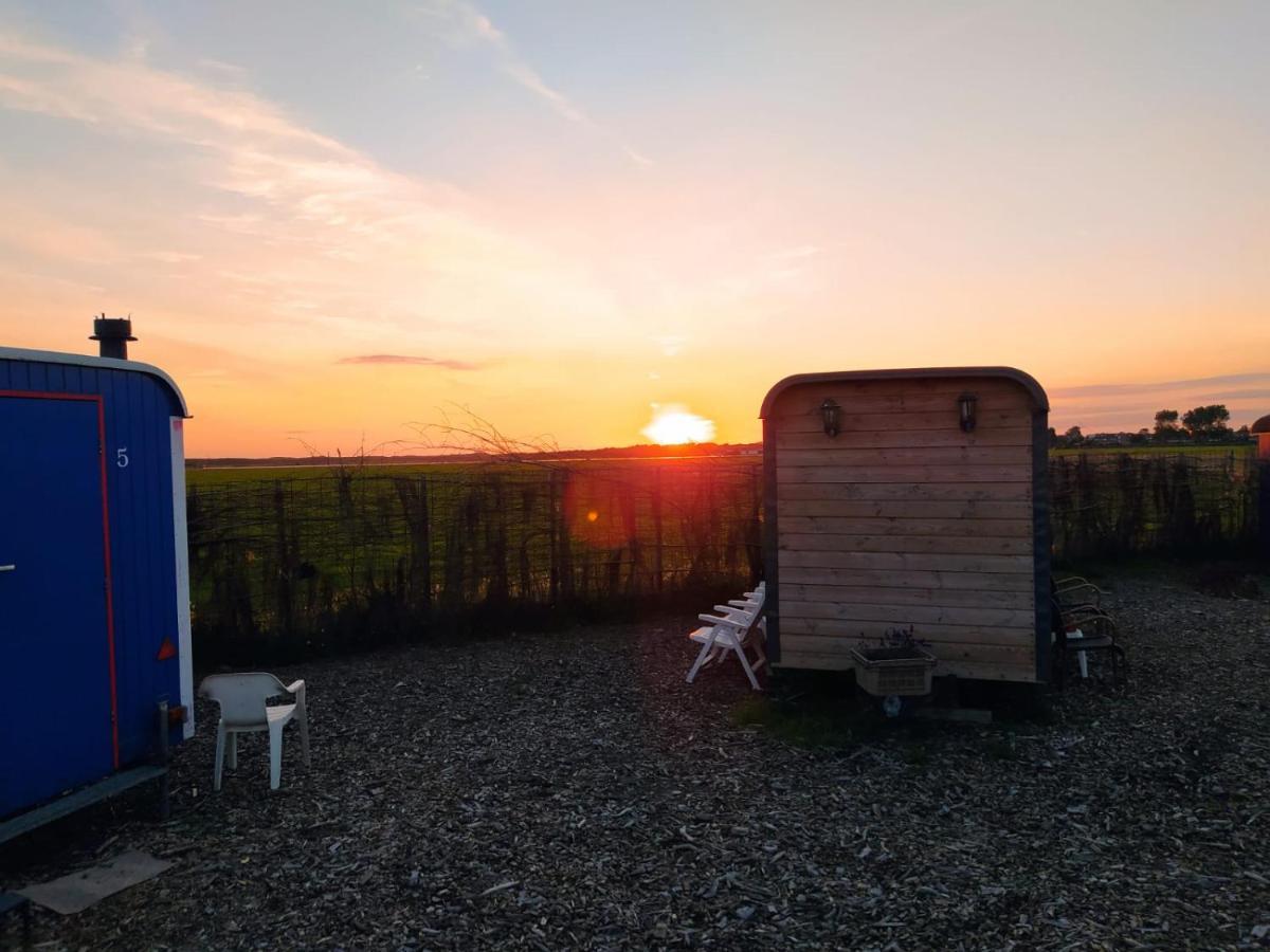 B&B Boerderij Rust, In Pipowagens! 덴헬데르 외부 사진